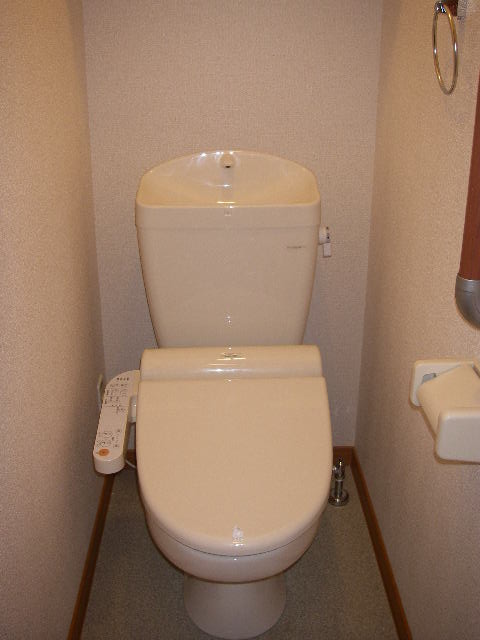 Toilet. With Washlet. 1 floor handrail with
