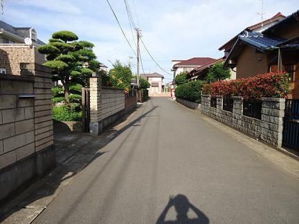 Local photos, including front road. Local (July 2013) sunshine good per shooting south road