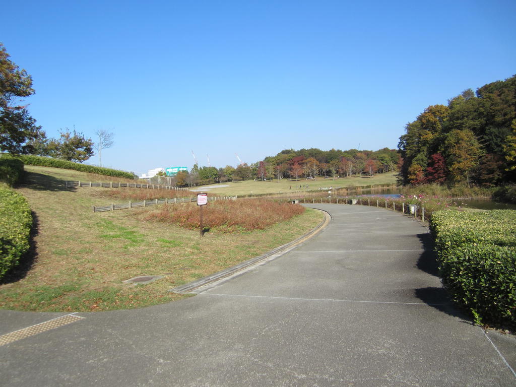 park. 400m to Chiba Prefecture Tatsukita Soka Hill Park (park)