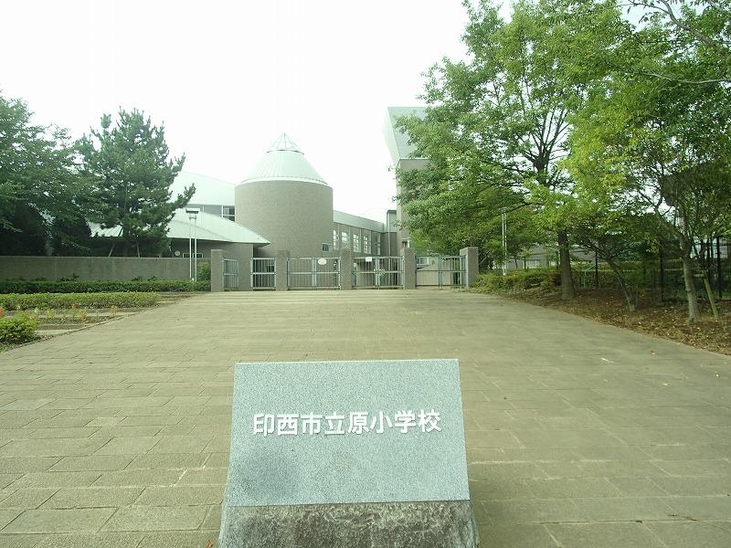 Primary school. Inzai Tachihara to elementary school 622m