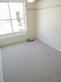 Living and room. Room of carpet specification