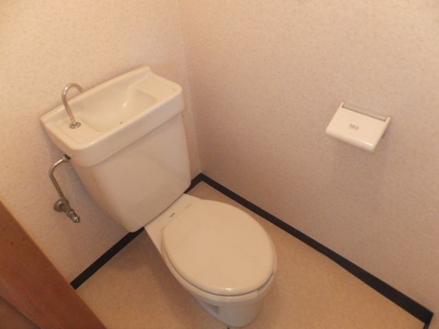 Toilet. Western-style toilet