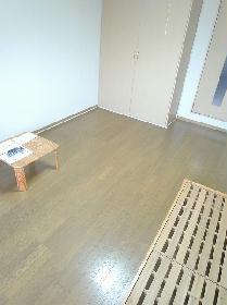 Living and room. Flooring