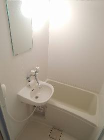 Bath. Basin integrated bathroom