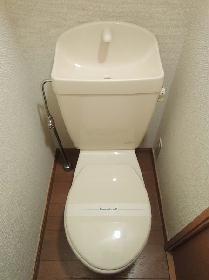 Toilet. Western-style toilet