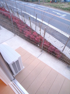 Balcony. It has become like a private garden! Spacious ~