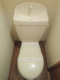 Toilet. Western-style toilet