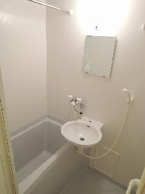 Bath. Basin integrated bathroom