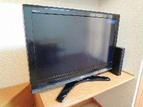 Other. A whopping 32-inch LCD TV of