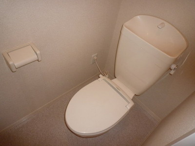 Toilet. Heating toilet seat