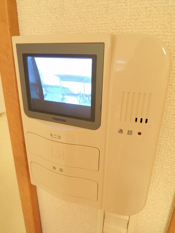 Security. TV monitor interphone