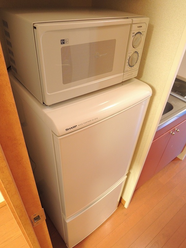 Other Equipment. Refrigerator & Microwave