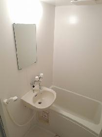 Bath. Basin integrated bathroom
