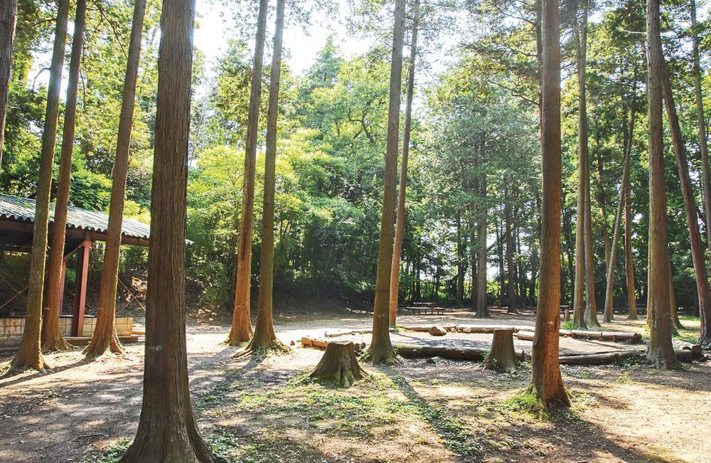 park. Walk from the forest of citizens camp can enjoy 20 minutes. Natural many with familiar city center, Outdoors feel free to enjoy the even Kamagaya location unique. It is surrounded by green, Family in the camp is fun.