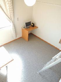 Living and room. Second floor carpet