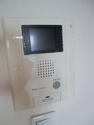 Security. Auto-Lock interlocking TV Intercom