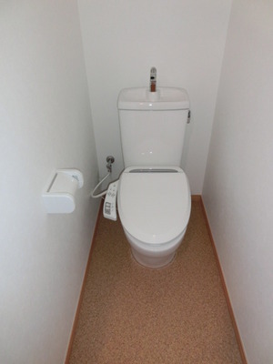 Toilet. Toilet