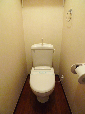 Toilet. Toilet