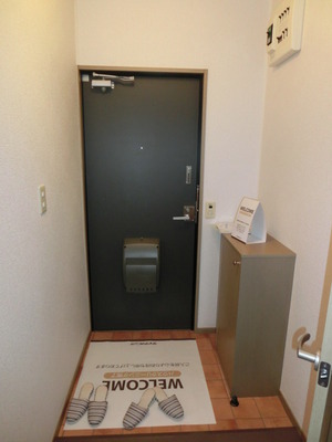 Entrance. Shoe box equipped