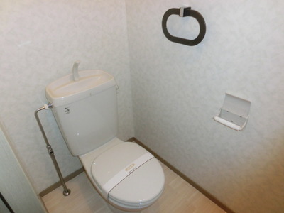 Toilet. Western-style toilet