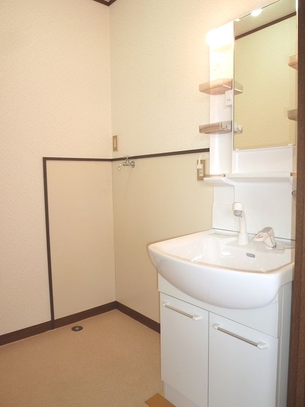 Washroom. Shampoo dresser (2013 July new goods exchange)