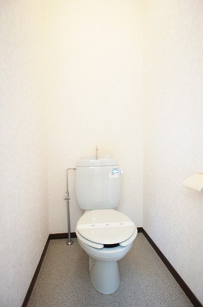 Toilet. Nu spacious toilet male