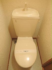 Toilet. Western-style toilet