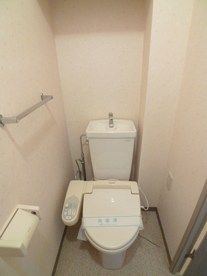 Toilet. Toilet