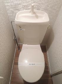 Toilet. Western-style toilet