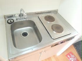 Kitchen. Stove 2-neck