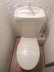 Toilet. Western-style toilet