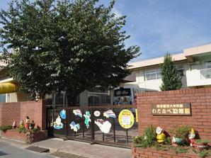 Watanabe kindergarten (500m ・ 7-minute walk)