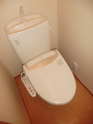 Toilet. Bidet