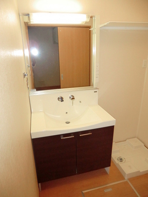 Washroom. Large mirror Shampoo dresser