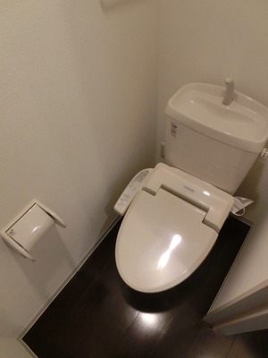 Toilet. Toilet