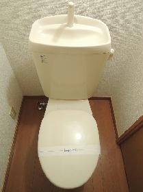 Toilet. Toilet