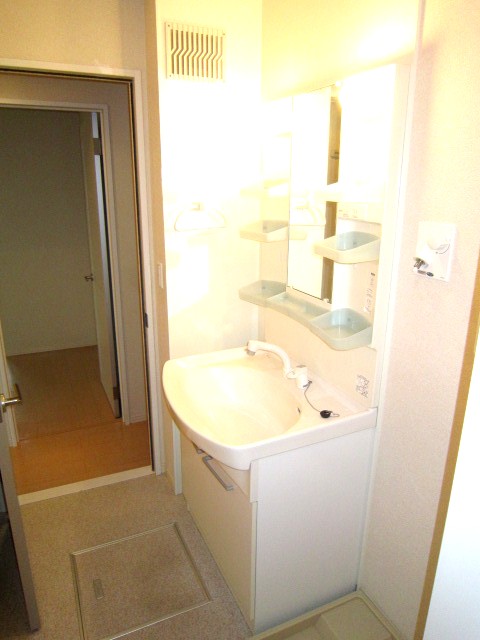 Washroom. Shower with separate wash basin