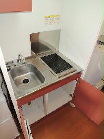 Kitchen. Electric stove 2-neck