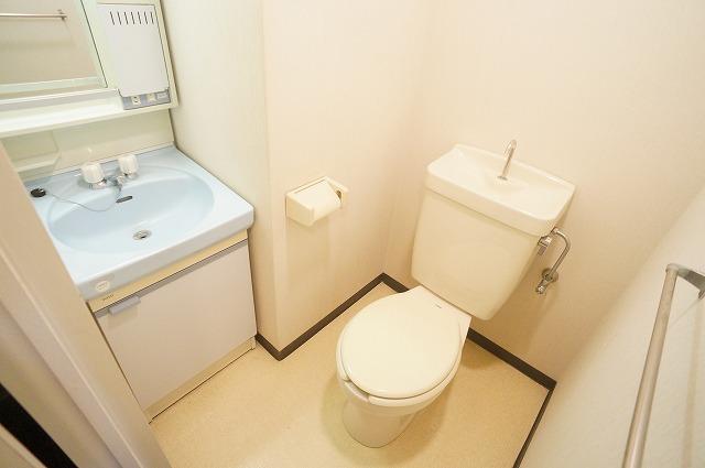 Toilet. Indoor image (photo of inversion)