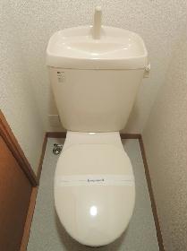 Toilet. Toilet