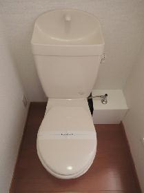 Toilet. Western-style toilet