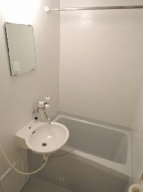 Bath. Basin integrated bathroom