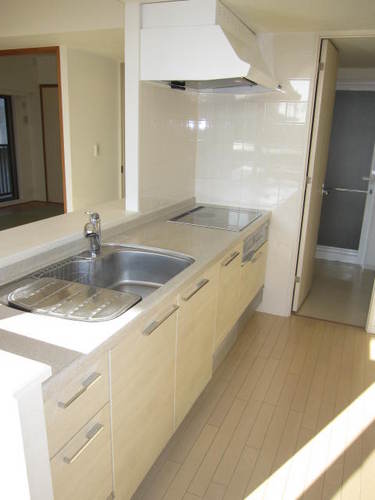 Kitchen. Disposer and water purifier of a counter kitchen!