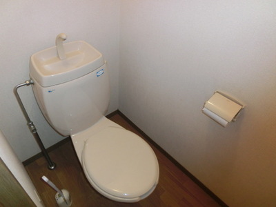 Toilet. Toilet