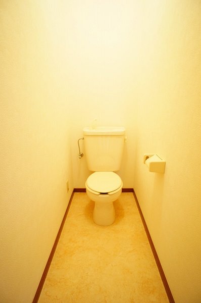 Toilet. Spacious toilet