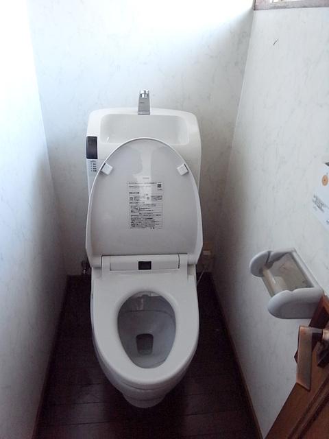 Toilet. Panel-type type of bidet