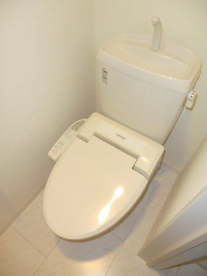 Toilet. WC cleaning toilet seat