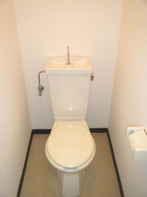 Toilet. Reference photograph