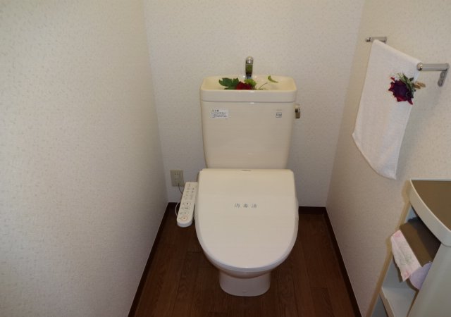 Toilet