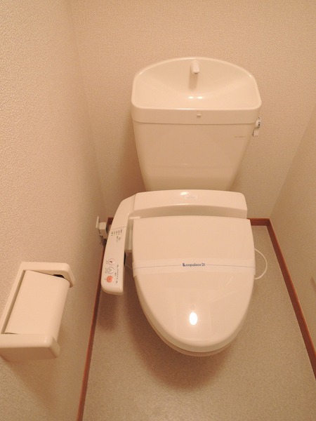 Toilet. The same type